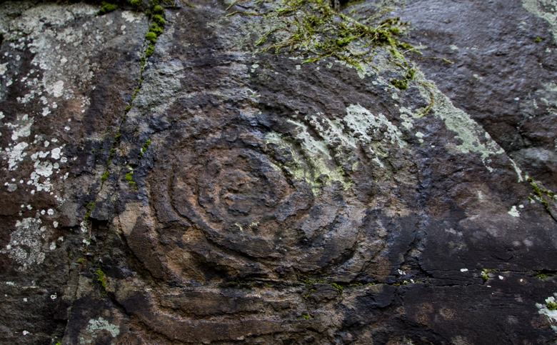 Die Petroglyphen