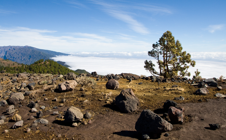 Parque Natural de Cumbre Vieja – Blick auf die Ostküste mit Wolkenmeer