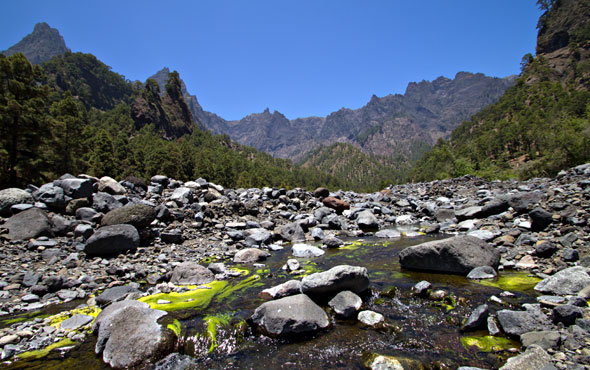 Bild zum Thema Der Nationalpark Caldera de Taburiente