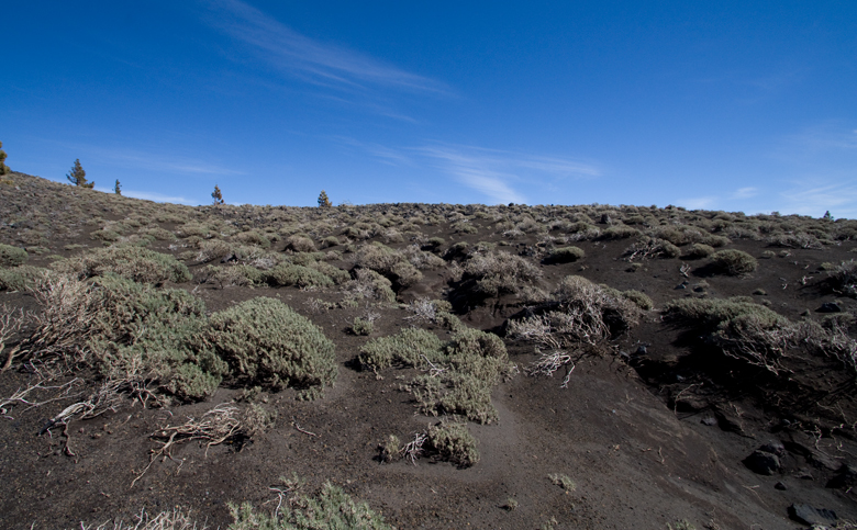 Parque Natural de Cumbre Vieja – Am Cráter del Hoyo Negro